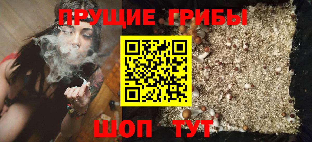 Псилоцибиновые грибы мухоморы  Вход с VPN  Вязьма 